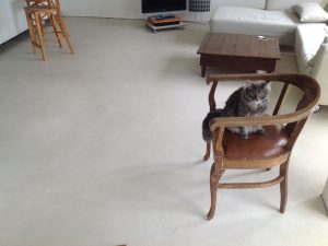 woonbeton etten leur